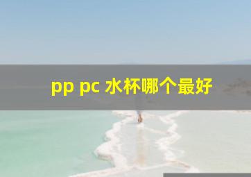 pp pc 水杯哪个最好